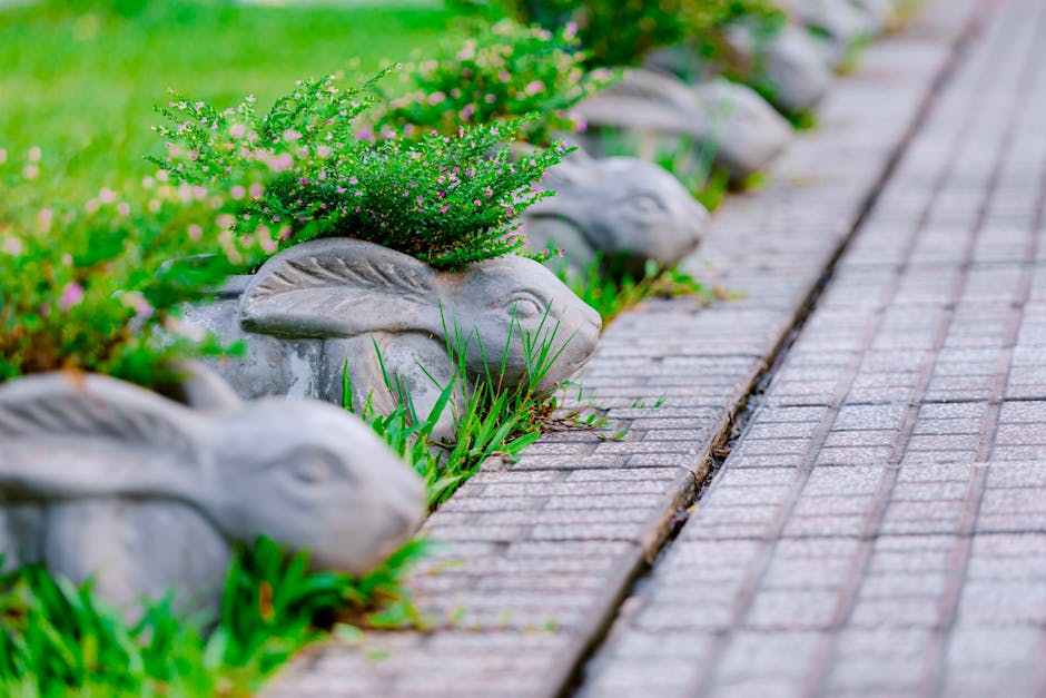 Edge Appraisal Services